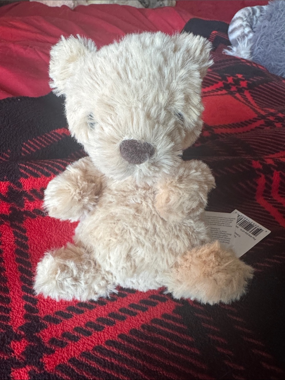 Jellycat Yummy Bear